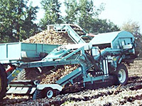 Custom Single Bed Onion Harvester
