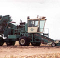 Custom Single Bed Onion Harvesters